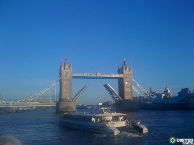 IMG_0000_265.jpg