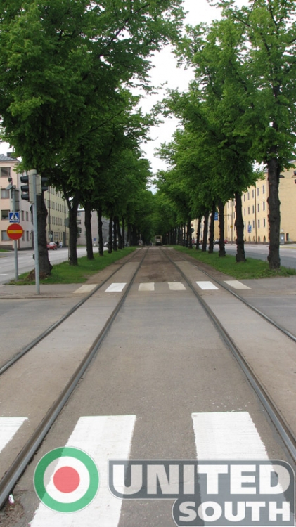 fin_(5).jpg