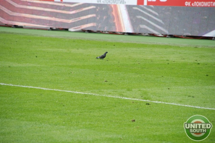 lokomotiv-zenit13-14_(28).jpg