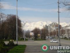 DSC03263.jpg